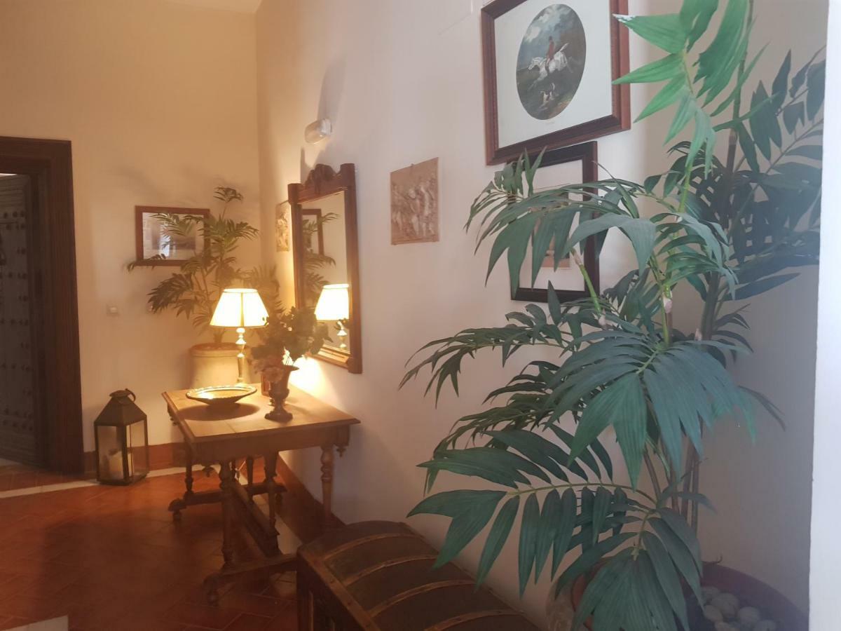 Cordoba Cool Vailima Apartment Екстериор снимка
